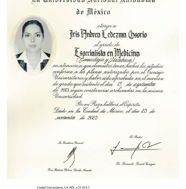 Ampliar imagen: certificate 2
