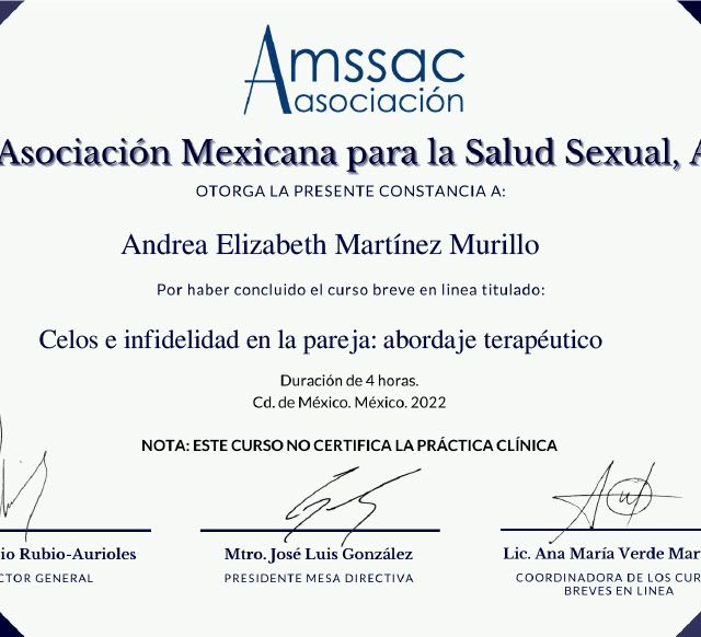 Ampliar imagen: certificate 9