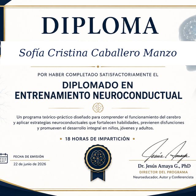 Ampliar imagen: certificate 5