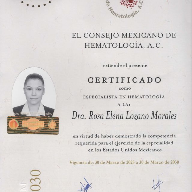 Ampliar imagen: certificate 1