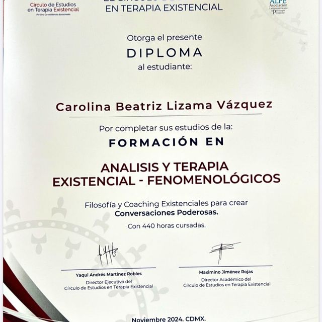 Ampliar imagen: certificate 2