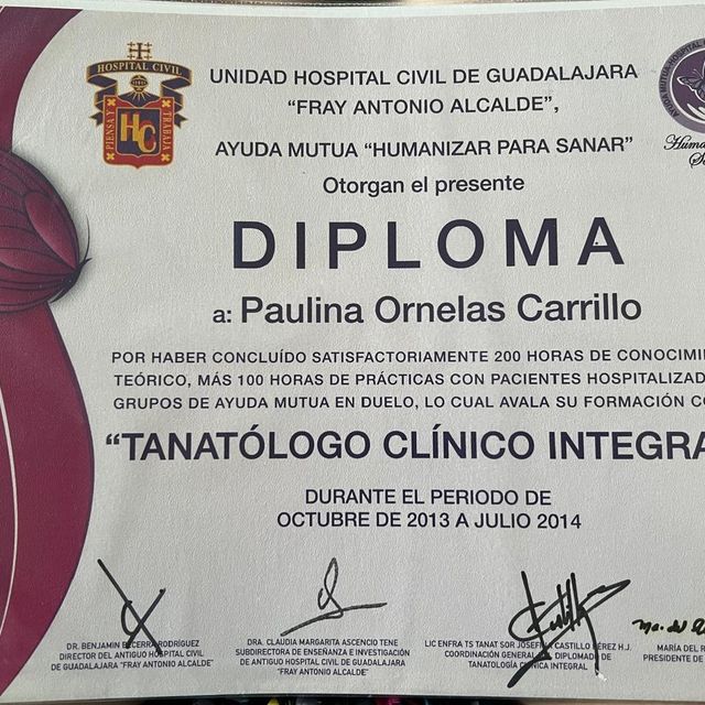 Ampliar imagen: certificate 4