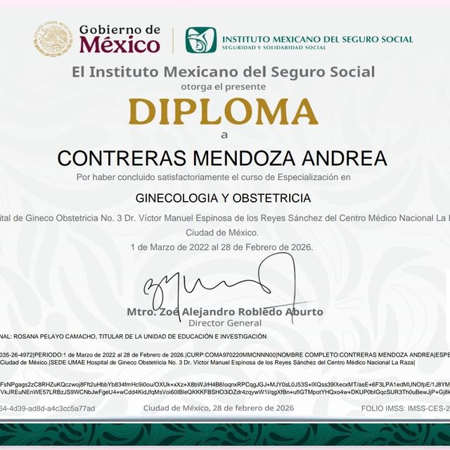 Ampliar imagen: certificate 1