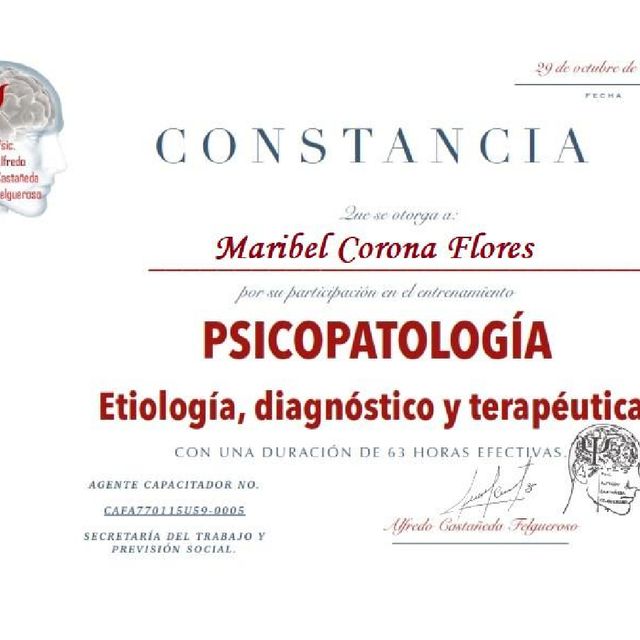 Ampliar imagen: certificate 8