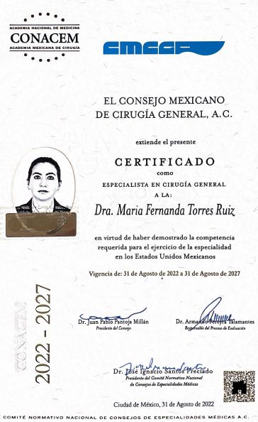 Ampliar imagen: certificate 7