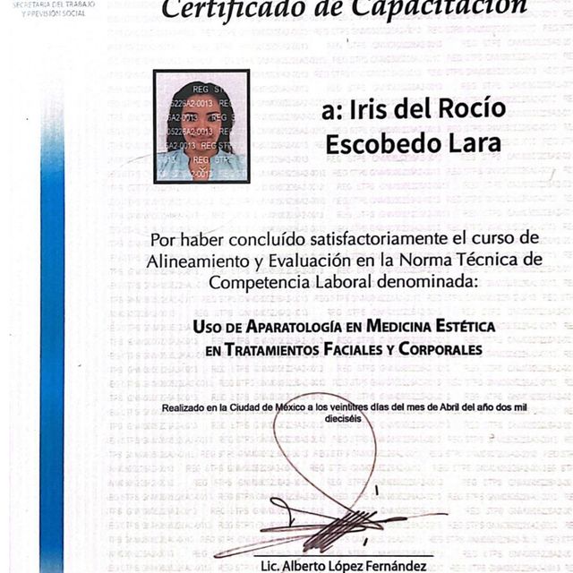 Ampliar imagen: certificate 2