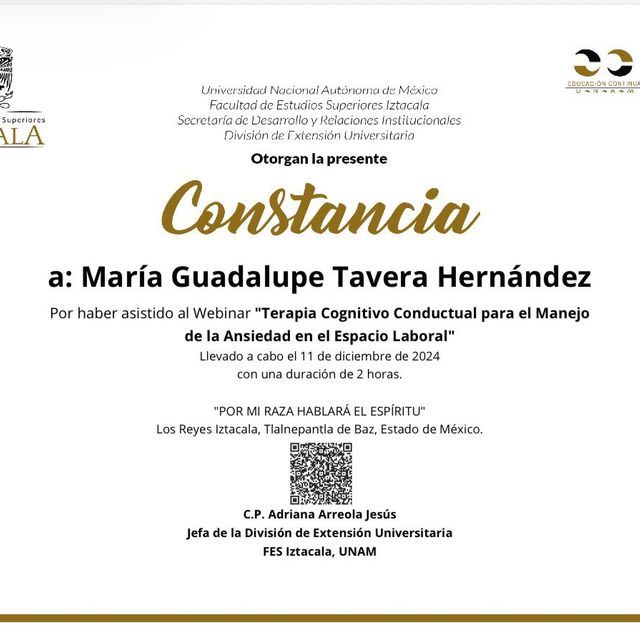 Ampliar imagen: certificate 19