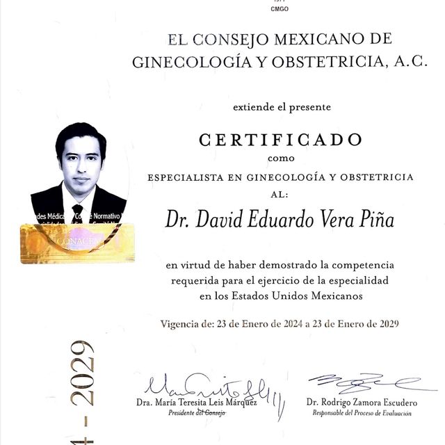 Ampliar imagen: certificate 3