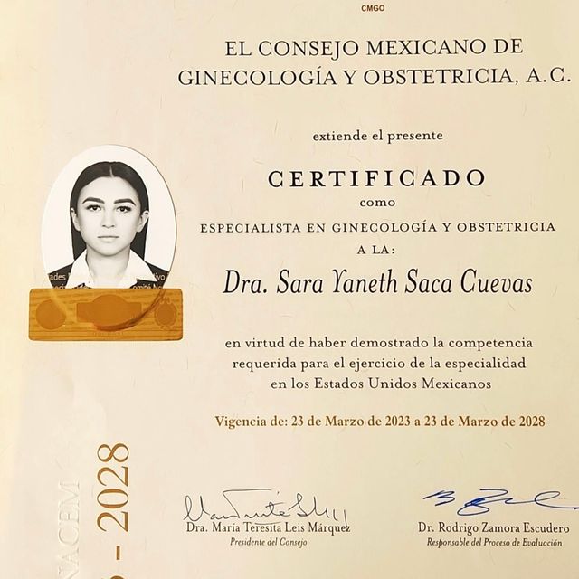 Ampliar imagen: certificate 1