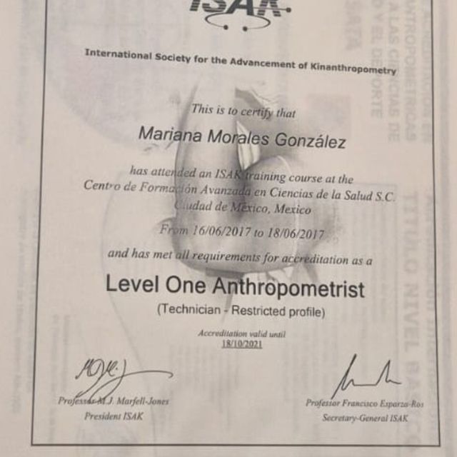 Ampliar imagen: certificate 3
