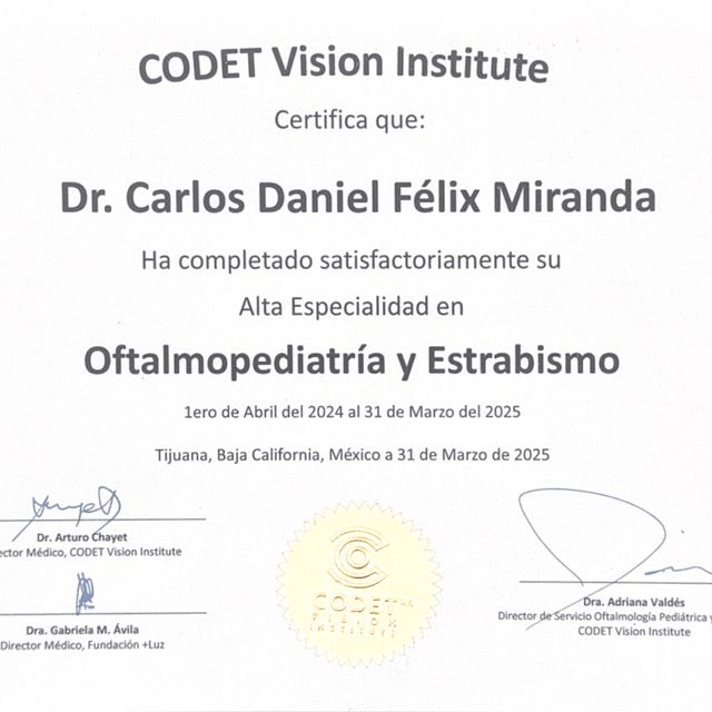 Ampliar imagen: certificate 6