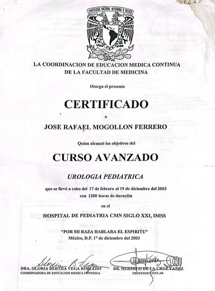 Ampliar imagen: certificate 1