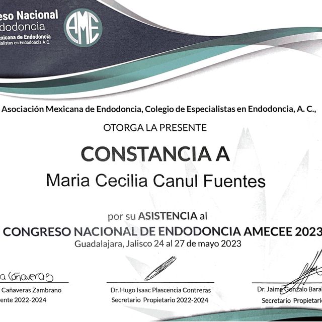 Ampliar imagen: certificate 4