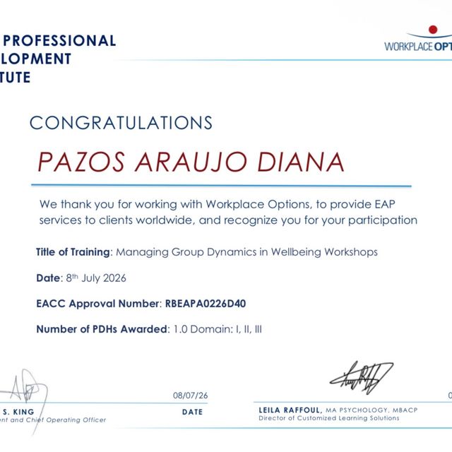 Ampliar imagen: certificate 2