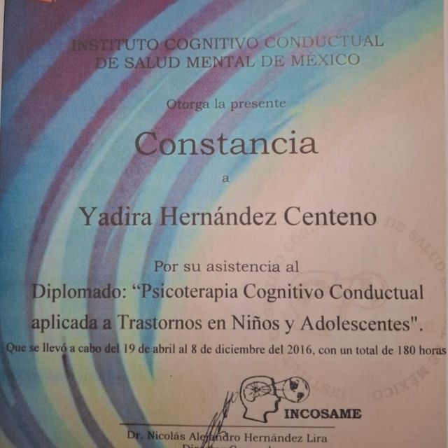 Ampliar imagen: certificate 3