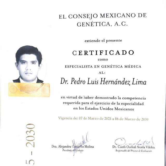 Ampliar imagen: certificate 1