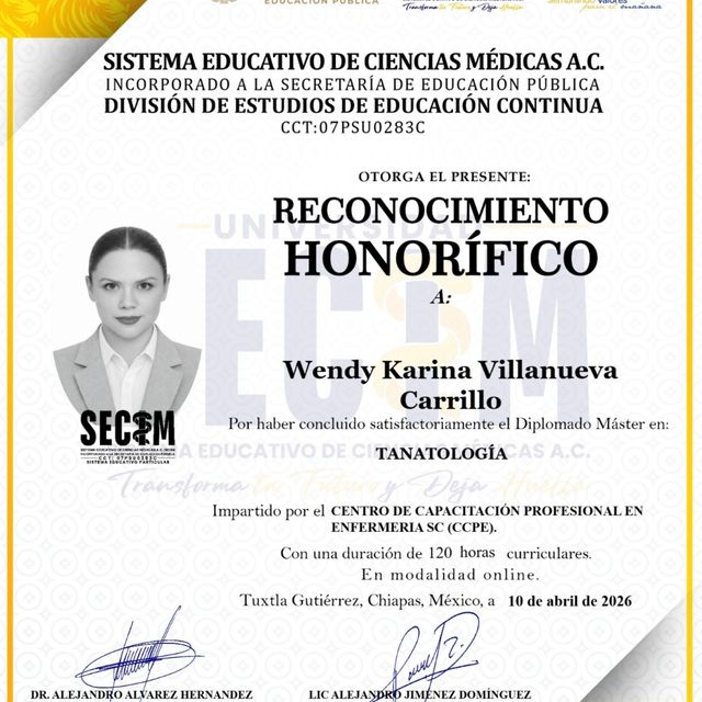 Ampliar imagen: certificate 28