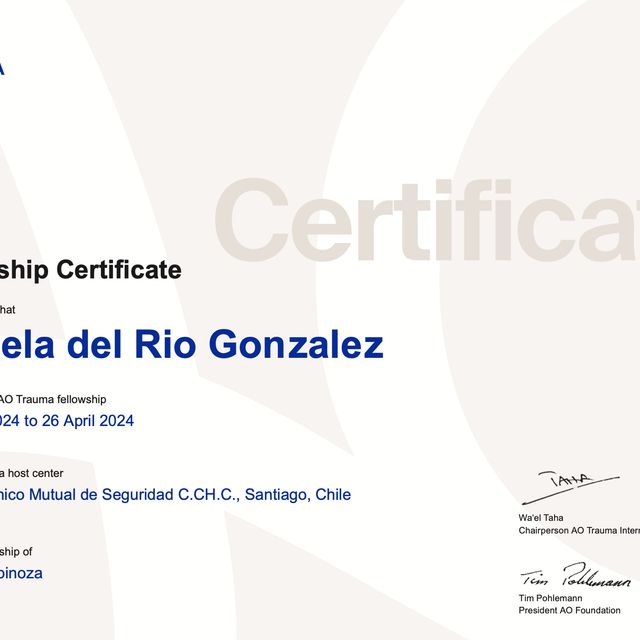 Ampliar imagen: certificate 1