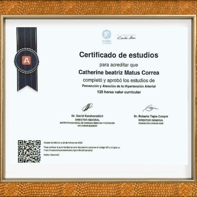 Ampliar imagen: certificate 7