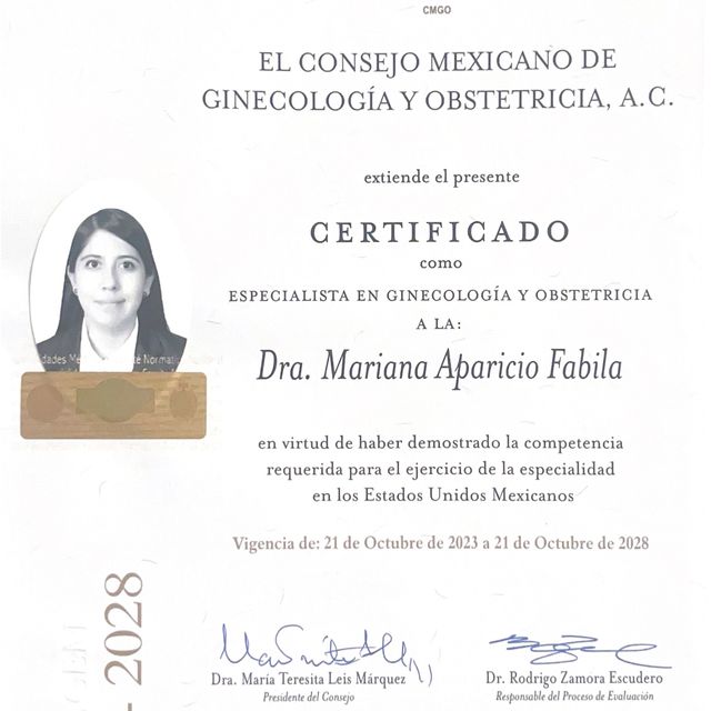 Ampliar imagen: certificate 1