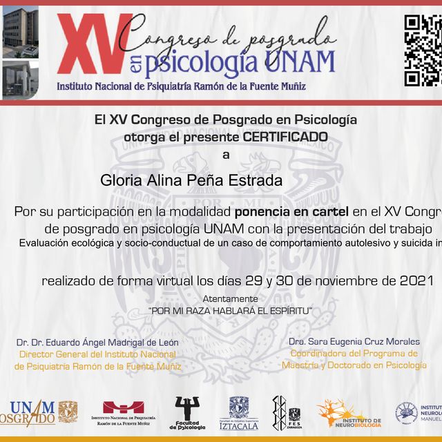 Ampliar imagen: certificate 11