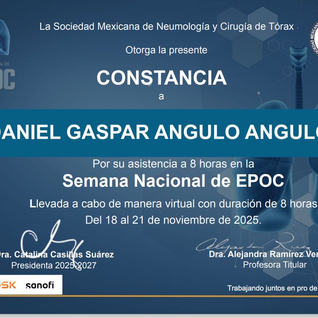 Ampliar imagen: certificate 7