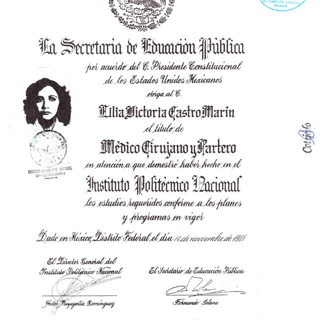Ampliar imagen: certificate 2