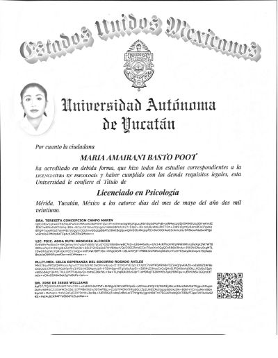 Ampliar imagen: certificate 13