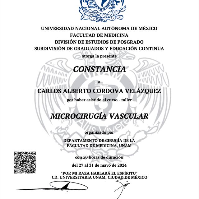 Ampliar imagen: certificate 4