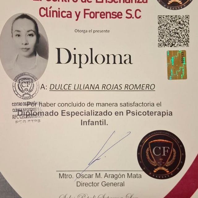 Ampliar imagen: certificate 1
