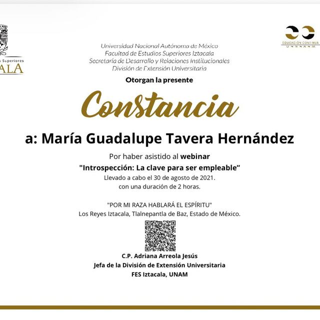 Ampliar imagen: certificate 48