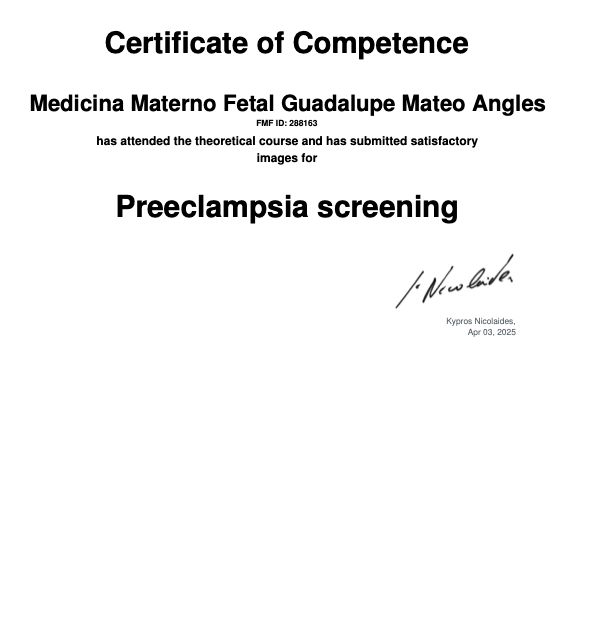 Ampliar imagen: certificate 4