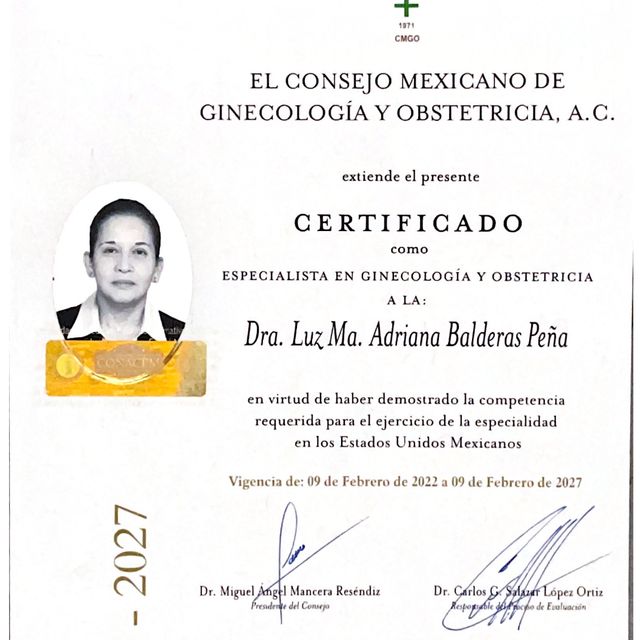 Ampliar imagen: certificate 8