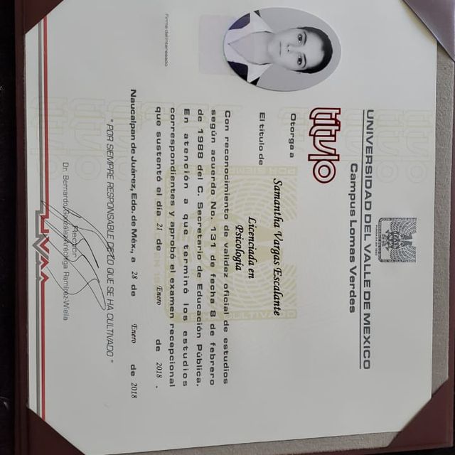 Ampliar imagen: certificate 1