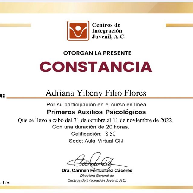 Ampliar imagen: certificate 7