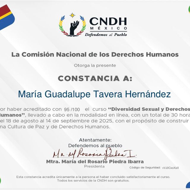 Ampliar imagen: certificate 95