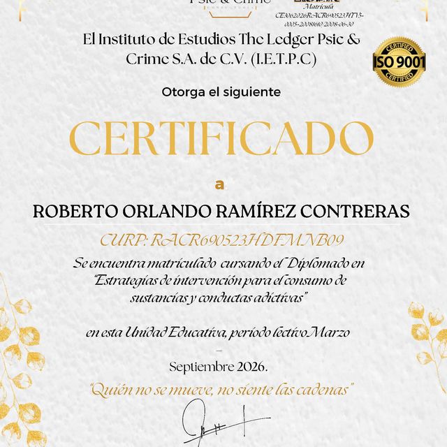 Ampliar imagen: certificate 6