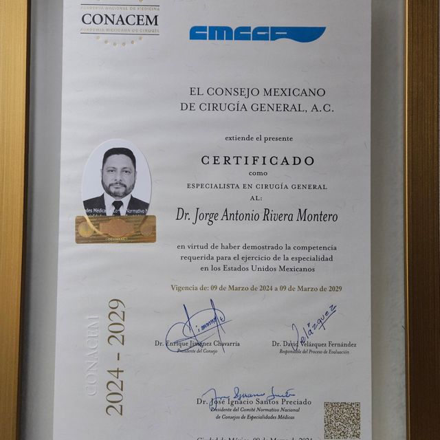 Ampliar imagen: certificate 2