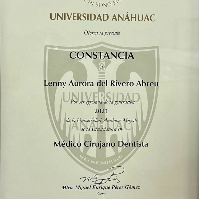 Ampliar imagen: certificate 3