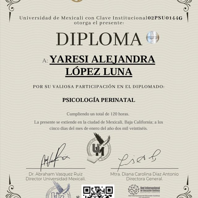 Ampliar imagen: certificate 3