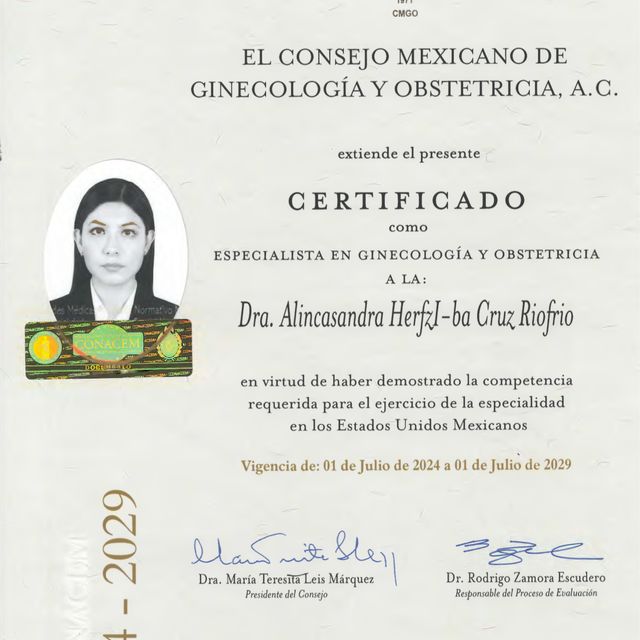 Ampliar imagen: certificate 1