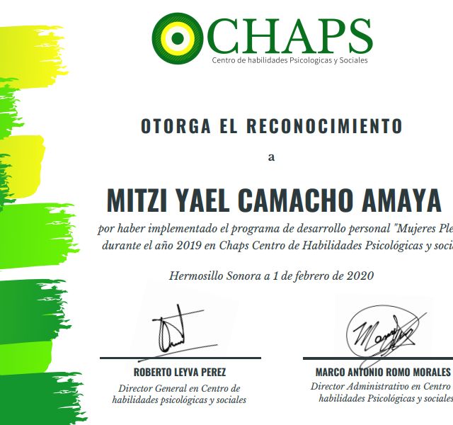 Ampliar imagen: certificate 5