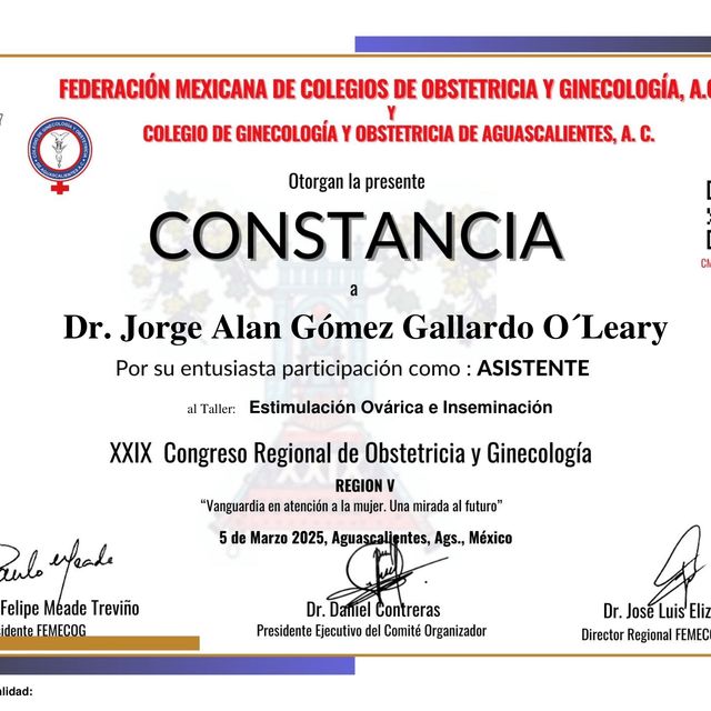 Ampliar imagen: certificate 15