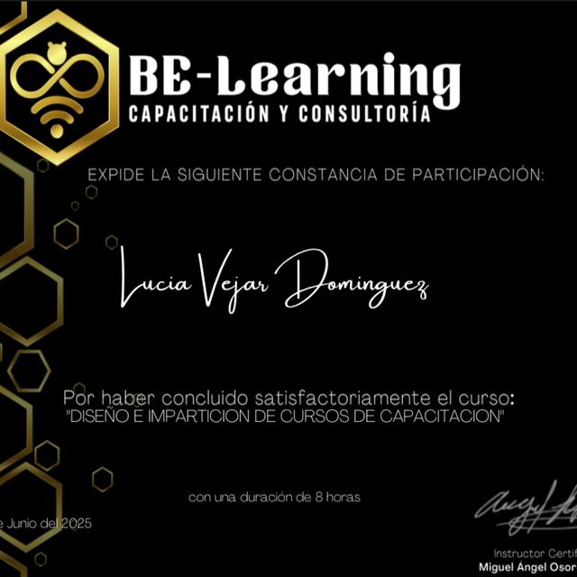 Ampliar imagen: certificate 8