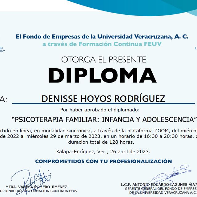 Ampliar imagen: certificate 3