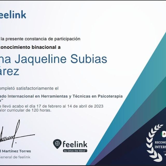 Ampliar imagen: certificate 5