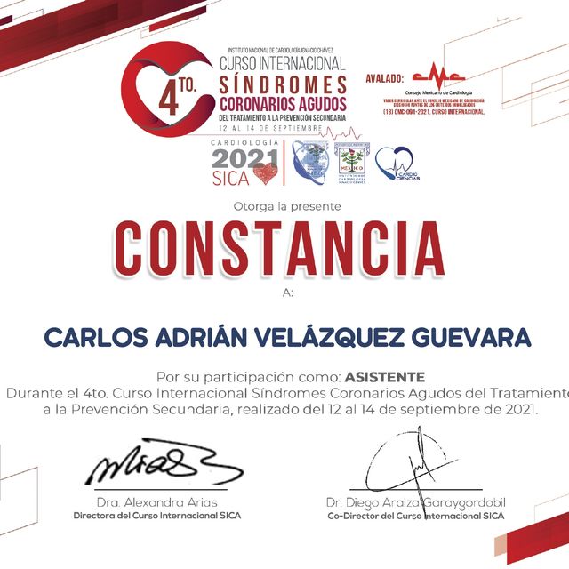 Ampliar imagen: certificate 6