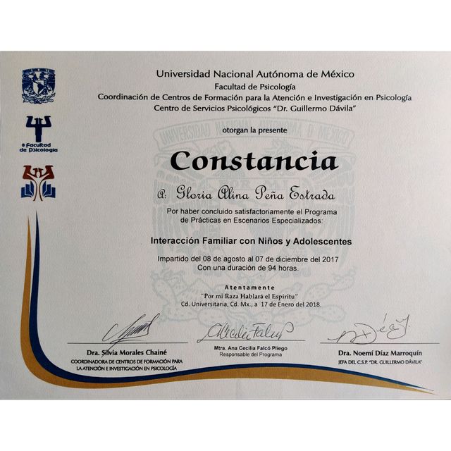 Ampliar imagen: certificate 13