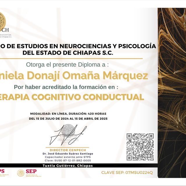 Ampliar imagen: certificate 2