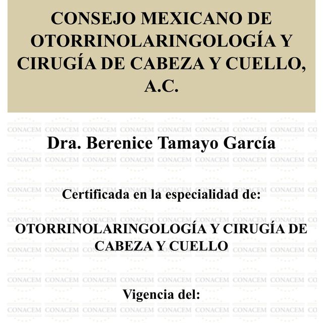 Ampliar imagen: certificate 7
